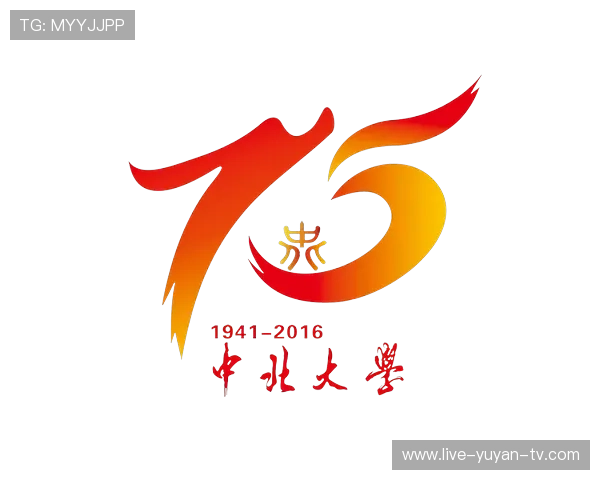 足球星光背影映照辉煌足迹 绽放赛场英姿与荣耀